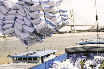 Hải quan tiếp tục hướng dẫn thủ tục về xuất khẩu gạo nếp