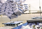 Hải quan tiếp tục hướng dẫn thủ tục về xuất khẩu gạo nếp