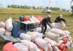 Từ 0h ngày 26/4, có thêm 38.000 tấn gạo được xuất khẩu