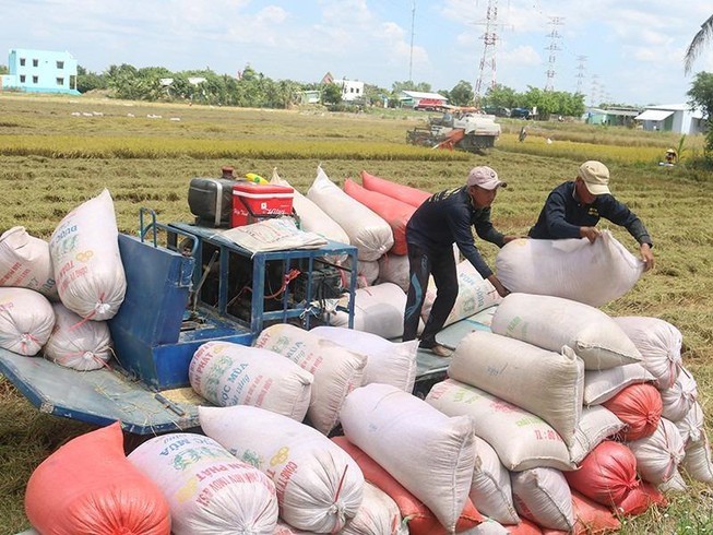 Từ 0h ngày 26/4, có thêm 38.000 tấn gạo được xuất khẩu
