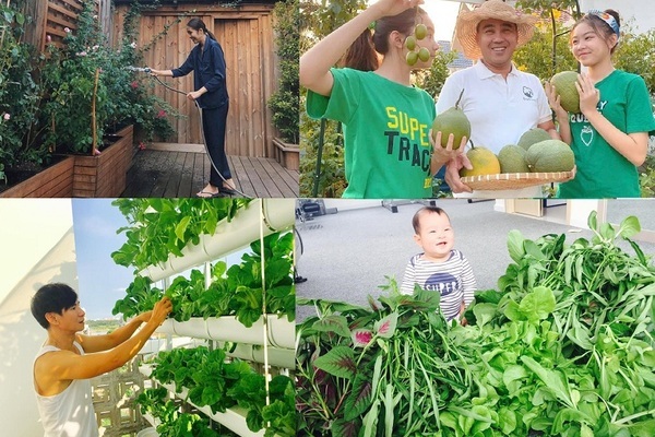 Những sao Việt đam mê làm vườn, thu hoạch rau trái như nông dân thực thụ