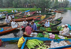 Chợ nổi trên sông Dal nổi tiếng của Ấn Độ vẫn họp mặc phong tỏa kéo dài