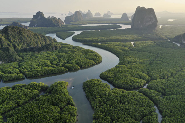 Top 100 hình ảnh dòng sông quê hương đẹp nhất mang đậm hồn quê