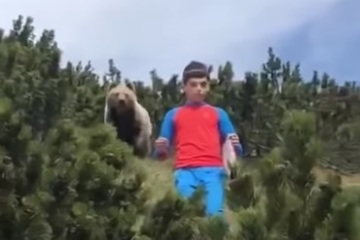 Italy: Cậu bé 12 tuổi bình tĩnh thoát khỏi gấu hoang tấn công