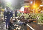 Đà Nẵng: Liên tiếp cháy nhà, đổ cây trong một ngày, báo động ẩn họa mùa nắng nóng