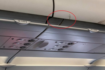 Người mang rắn trong hành lý lên máy bay có phạm luật?