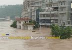 Ngập lụt nghiêm trọng ở Trung Quốc, cá thi nhau nhảy khỏi mặt nước hít oxy