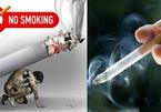 Vì sao thuốc lá là mầm mống của bệnh tật