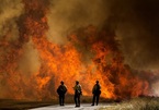 Cháy rừng kinh hoàng ở California tiếp tục lan rộng