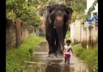 Hi hữu cô bé 2 tuổi kết bạn với voi ở Ấn Độ