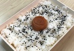 Sự thật về hộp cơm trắng và mận đắt hàng ở Nhật