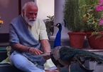 Video khoảng 'thời gian quý báu' của Thủ tướng Ấn Độ gây 'bão'