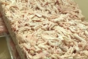 Phát hiện kho chứa 24 tấn nội tạng lợn nhiễm tả lợn châu Phi
