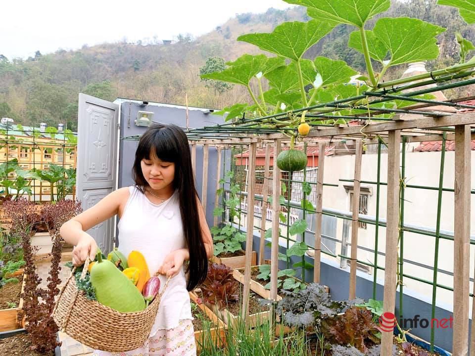 trồng rau trên sân thượng,khu vườn đẹp