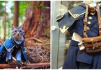 Chàng trai Nhật Bản đam mê may trang phục cho mèo