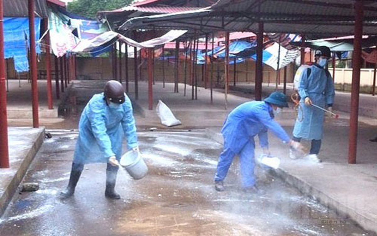 Thanh Hóa: Tổng vệ sinh môi trường phòng, chống dịch bệnh cúm gia cầm