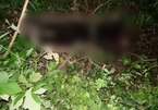 Người dân phát hiện thi thể một phụ nữ đang phân hủy trong rừng