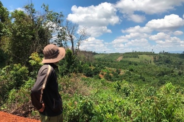 Đắk Nông: Điều tra lại vụ 6 cựu chiến binh tham gia phá rừng