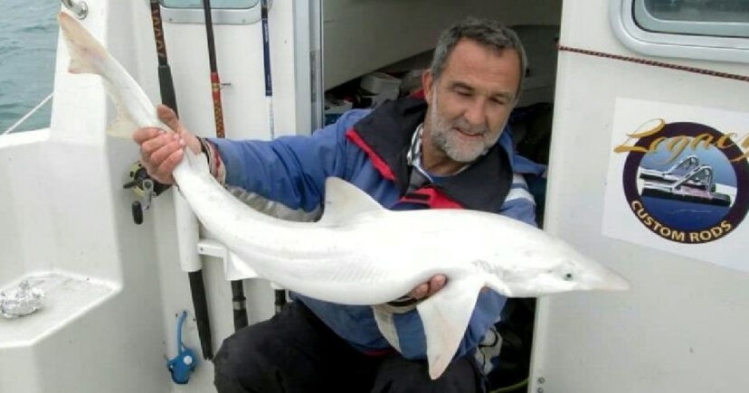 Lần đầu tiên cá mập bạch tạng xuất hiện ở Anh