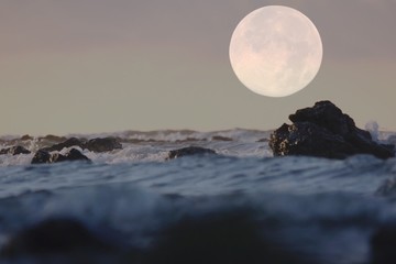 Sự thật bất ngờ về nước trên bề mặt đầy nắng của Mặt Trăng