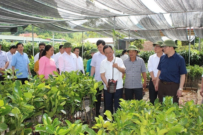 Sơn La chủ động sản xuất nông nghiệp ứng phó với biến đổi khí hậu