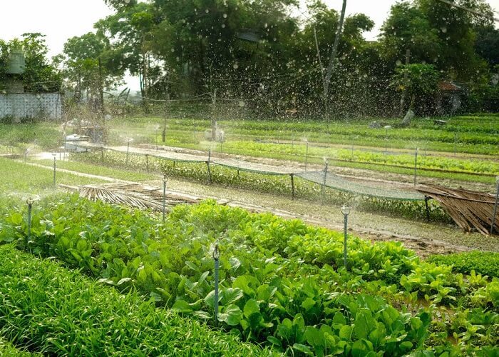 Tỷ lệ hộ nghèo ở Quảng Nam đã giảm nhanh, bền vững
