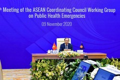 Họp Nhóm Công tác liên ngành Hội đồng điều phối ASEAN về ứng phó tình huống y tế công cộng khẩn cấp