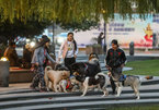 Tranh cãi luật cấm dắt chó đi dạo trong thành phố ở Trung Quốc