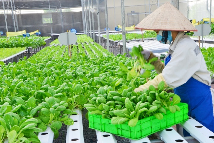 Hà Nam phát triển bền vững ngành nông nghiệp công nghệ cao