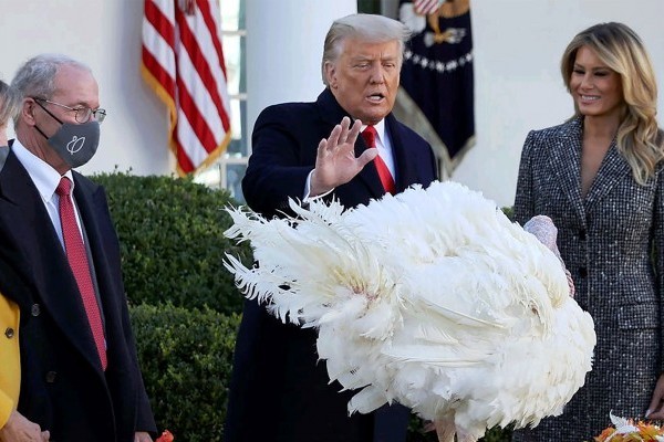 Ông Trump hiếm hoi xuất hiện sau tuyên bố chuyển giao quyền lực