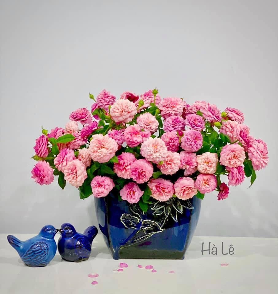 20 mẫu cắm hoa “vạn người mê” của một mẹ đảm ở Hà Nội