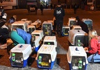 Giải cứu 45 chú chó ở Trung Quốc
