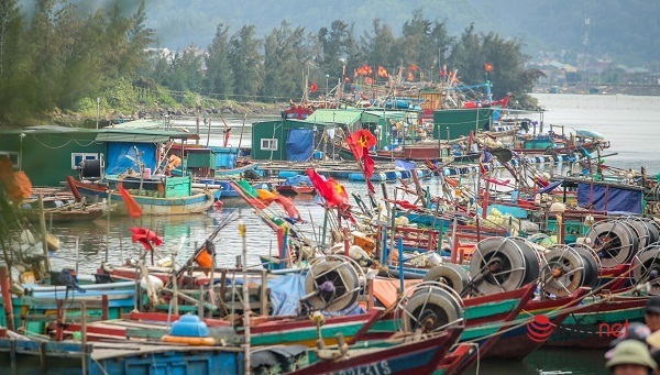 Chùm ảnh: Bộ Tư lệnh Cảnh sát biển tặng quốc kỳ, khám chữa bệnh miễn phí cho ngư dân ven biển Nghệ An