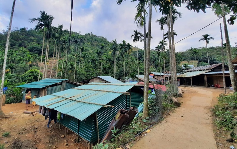 Quảng Nam: Dựng nhà, bố trí khu tái định cư cho người dân vùng sạt lở