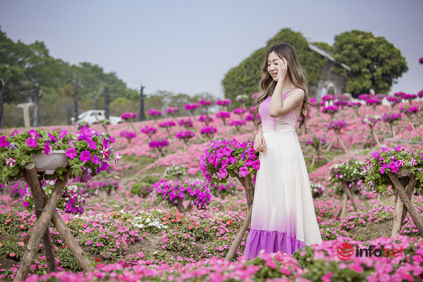 9X Tiền Giang bỏ làm công nhân trồng hẳn vườn hoa rộng 3000m2 chỉ vì đam mê chụp  ảnh