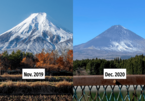 Điều gì xảy ra khi núi Phú Sĩ không có tuyết rơi?
