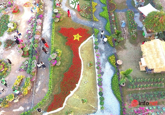 Bản đồ Việt Nam kết bằng hoa tươi rực rỡ ở làng hoa Xuân Quan