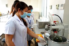Ý tưởng dùng cây Pác lừ chữa nhiệt miệng của sinh viên Y Dược Thái Nguyên