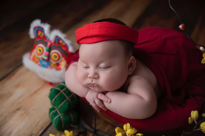 Bộ ảnh đón Tết “ngủ là chân ái” của em bé đáng yêu vô cực