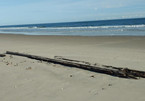 Xác tàu đắm bí ẩn nổi lên trên cát ở bãi biển Carolina