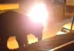 Con voi 40 tuổi bị thiêu đốt đau đớn đến chết, người người phẫn nộ trước hành vi tàn ác
