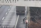 Lùi xe trên cao tốc để 'nhặt' lợn rơi trên đường, tài xế bị xử phạt