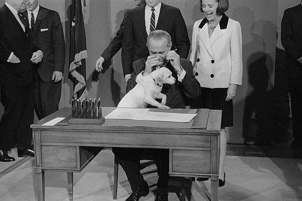 Những chú chó giúp hình ảnh Tổng thống Mỹ trở nên gần gũi hơn