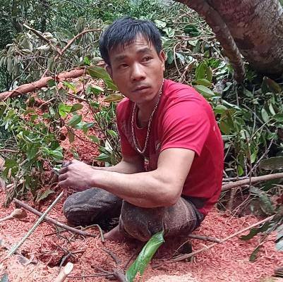 Đắk Lắk: Bắt quả tang kẻ đốn trộm 11 cây gỗ cổ thụ ngày giáp Tết