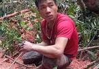 Đắk Lắk: Bắt quả tang kẻ đốn trộm 11 cây gỗ cổ thụ ngày giáp Tết