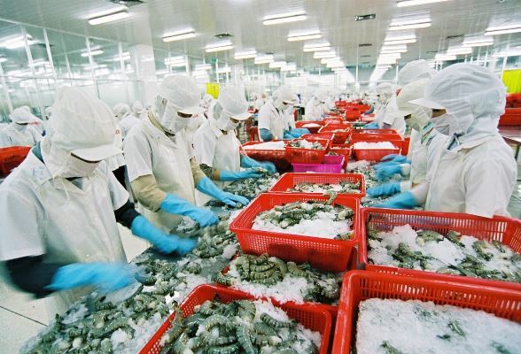697 doanh nghiệp Việt được phép xuất khẩu thủy sản vào Đài Loan