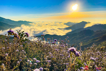 Khám phá 'thiên đường mây trắng' trên đỉnh Tà Xùa