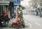 Câu tị nạnh hot nhất mạng xã hội ngày 8/3: "Đến cột đèn còn có hoa"