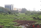 Rác thải bủa vây dự án nghìn tỷ ‘đắp chiếu’ hàng chục năm, dân tận dụng trồng rau