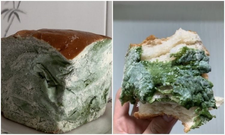 Chiếc bánh mì 'mốc meo xanh rờn' có gì khiến cư dân mạng tranh nhau mua